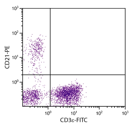 Porcine CD21 Antibody : PE (OASB02349)