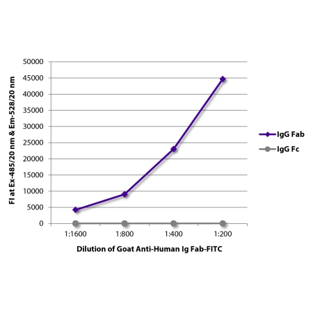 Purified human IgG Fab and IgG Fc