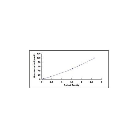 MMP9 ELISA Standard Curve