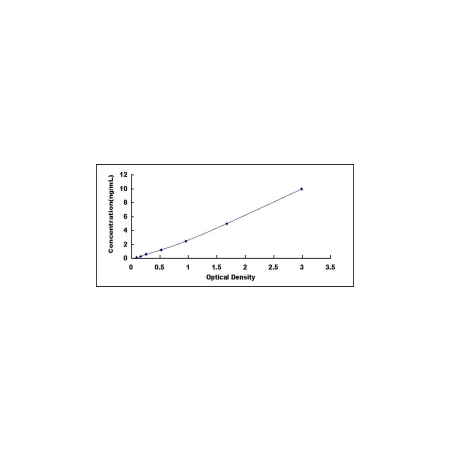 LDHB ELISA standard curve