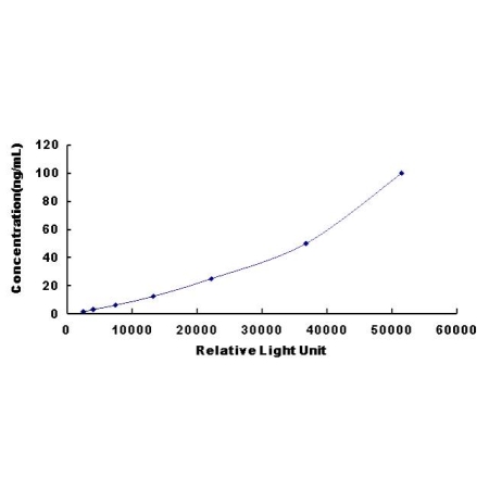 MMP-13 ELISA Standard Curve