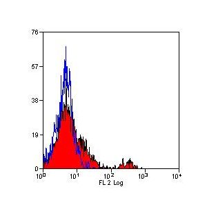 Human peripheral blood lymphocytes