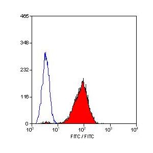 Human peripheral blood platelets