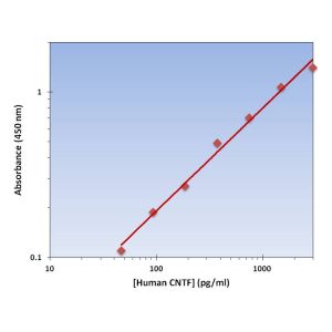 Standard Curve