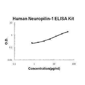 Neuropilin-1 ELISA