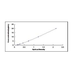 ANO6 ELISA