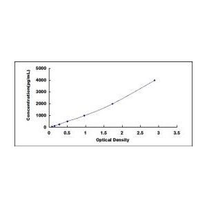 MMP-13 ELISA