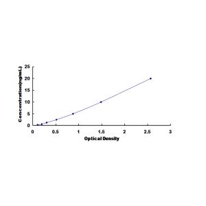 SCNN1B ELISA Standard Curve