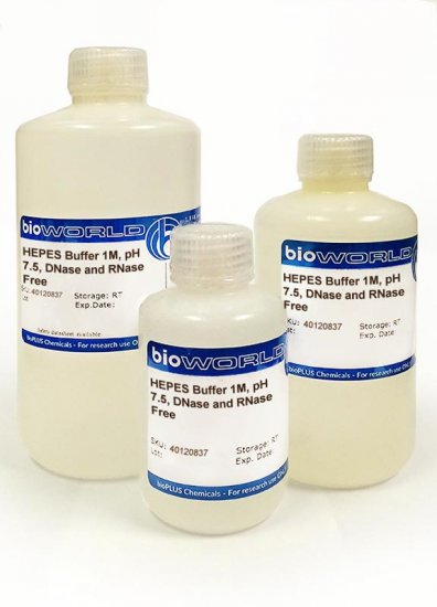 HEPES Buffer 1M, pH 7.5, DNase and RNase Free