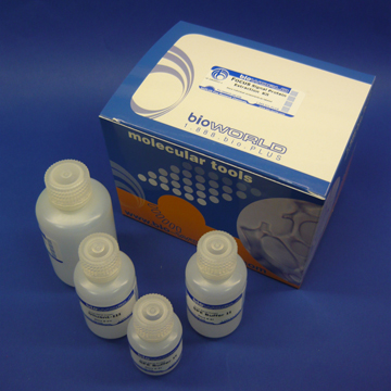Focus™ DTT 2M