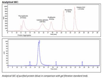 Mouse IgG2b k Isotype Control, InVivoPure+