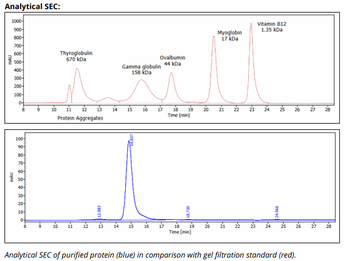 Mouse IgG2b k Isotype Control, InVivoPure