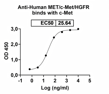 Recombinant Human MET/c-Met/HGFR Protein, C-His