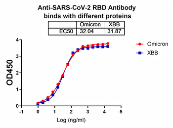Recombinant SARS-CoV-2 RBD (JN.1) Protein, C-His