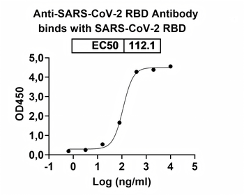 Recombinant SARS-CoV-2 RBD (JN.1) Protein, C-His
