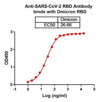 Recombinant SARS-CoV-2 RBD (JN.1) Protein, C-His