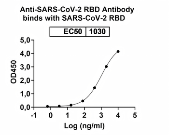 Recombinant SARS-CoV-2 RBD (JN.1) Protein, C-His