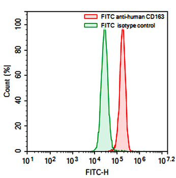 CD163 Mouse Monoclonal Antibody (FITC)