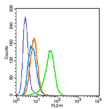 Perilipin A+B Rabbit Polyclonal Antibody