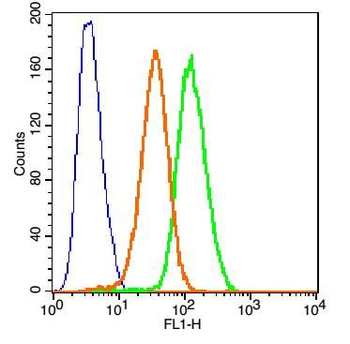 TNFR1 Rabbit Polyclonal Antibody (FITC)