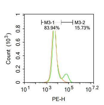 EAAT1 Rabbit Polyclonal Antibody