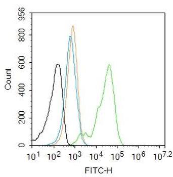 Phospho-GSK-3 Beta (Ser9) Rabbit Polyclonal Antibody