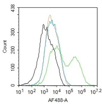 CD133 Rabbit Polyclonal Antibody