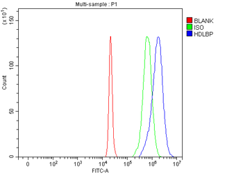 HDLBP Rabbit Polyclonal Antibody