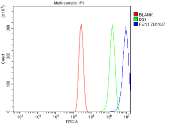 FEN1 Mouse Monoclonal Antibody