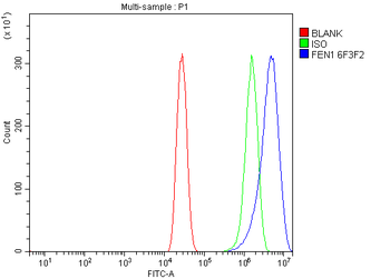 FEN1 Mouse Monoclonal Antibody