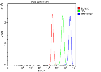 TMPRSS13 Rabbit Polyclonal Antibody