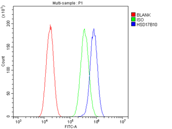 ERAB/HSD17B10 Rabbit Polyclonal Antibody
