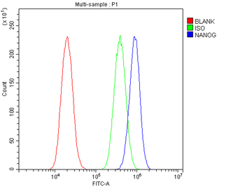 Nanog Rabbit Polyclonal Antibody