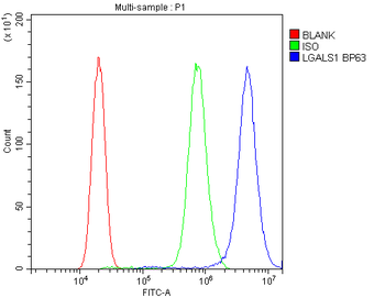 Galectin 1/LGALS1 Rabbit Polyclonal Antibody