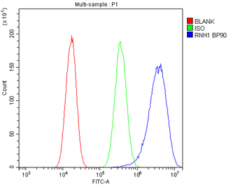 Ribonuclease Inhibitor/RNH1 Rabbit Polyclonal Antibody