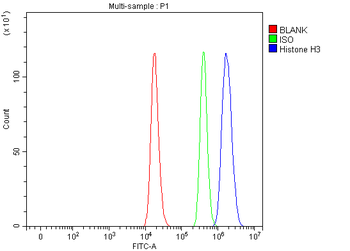 Histone H3 HIST1H3A/B/C/D/E/F/G/H/I/J Rabbit Polyclonal Antibody