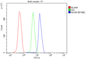 MC4-R/MC4R/MC4 Rabbit Polyclonal Antibody