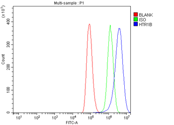 5HT1B/HTR1B Rabbit Polyclonal Antibody