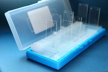 Poly-L-Lysine Coated Slides