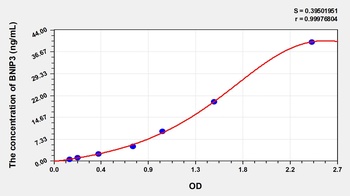 Rat Bcl2/Adenovirus E1B 19kDa Interacting Protein 3 (BNIP3) ELISA Kit