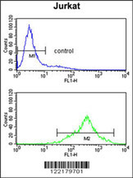 CSPP1 Antibody (N-term)