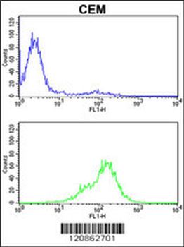TPI1 Antibody (C-term)