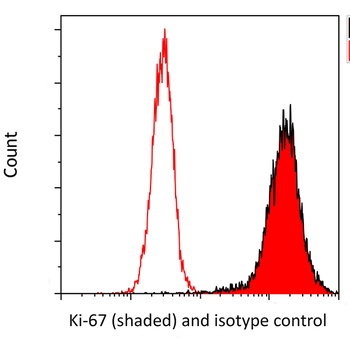Ki-67 Rabbit Recombinant Monoclonal Antibody