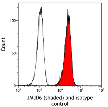 Rabbit JMJD6 Recombinant Monoclonal Antibody