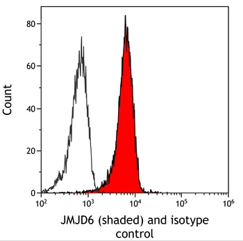 Rabbit JMJD6 Recombinant Monoclonal Antibody