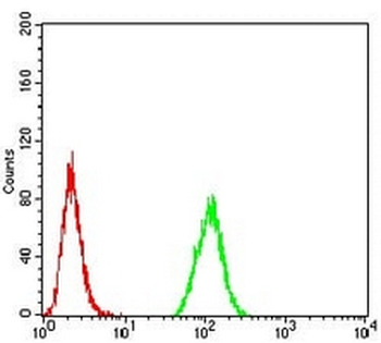 MGMT Mouse Monoclonal Antibody
