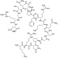 Phosphorylase Kinase Beta-Subunit Fragment (420-436)