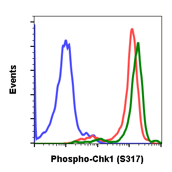Phospho-Chk1 (Ser317) rabbit mAb Antibody