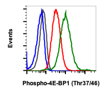 Phospho-4E-BP1 (Thr37/46) rabbit mAb Antibody