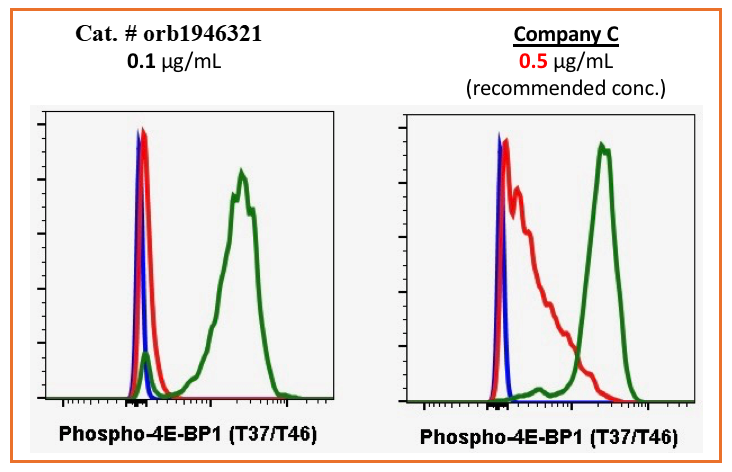 Phospho-4E-BP1 (Thr37/46) rabbit mAb Antibody